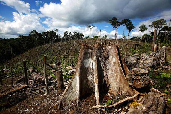 Environmental Conservation