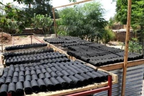 Eco-Friendly Energy Solutions