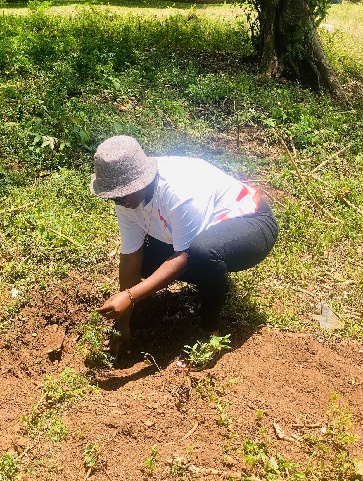 Tree planting activity with the ministry of water and environment